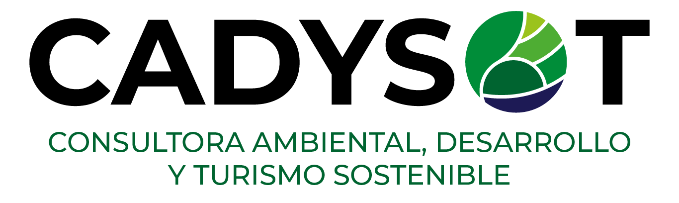 logotipo cadysot final full color positivo y negativo rgb mesa de trabajo 1