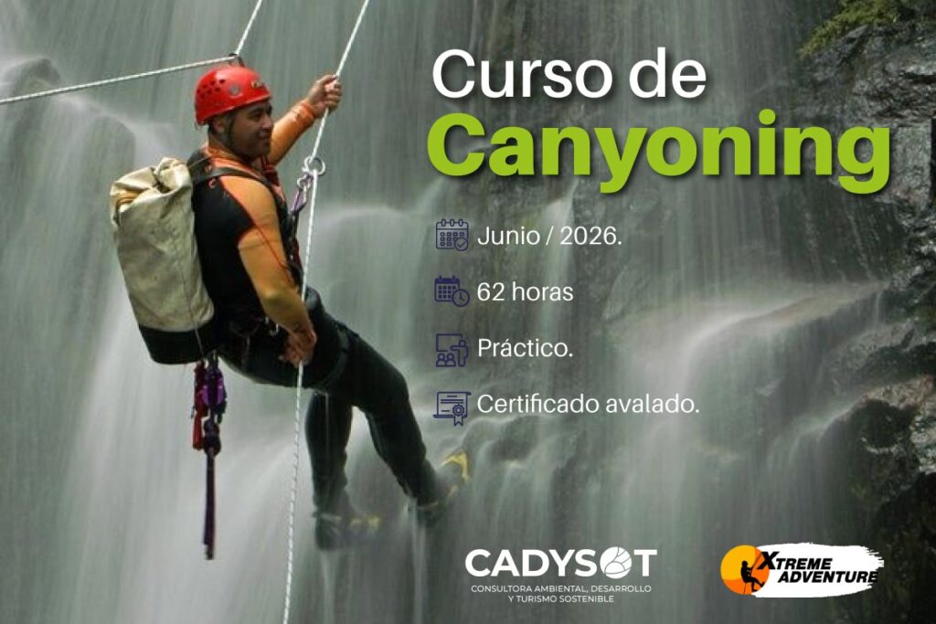 cursos cadysot1