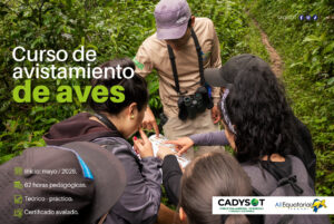 Curso de avistamiento de aves